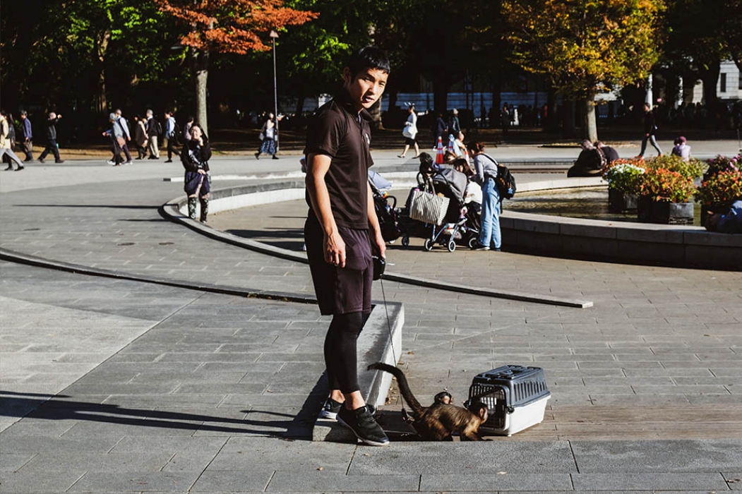 https://www.jeremieroturier.com/files/gimgs/th-81_DSCF3525_edit_low.jpg